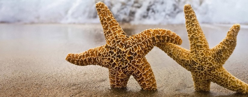 武夷山、九曲溪、福州、泉州、廈門、龍巖、永