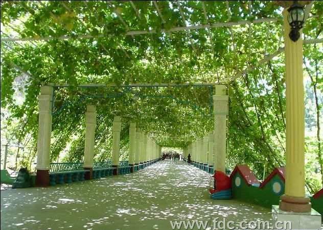 北京出發(fā)的絲綢之路經(jīng)典飛去臥回單飛七日品質(zhì)