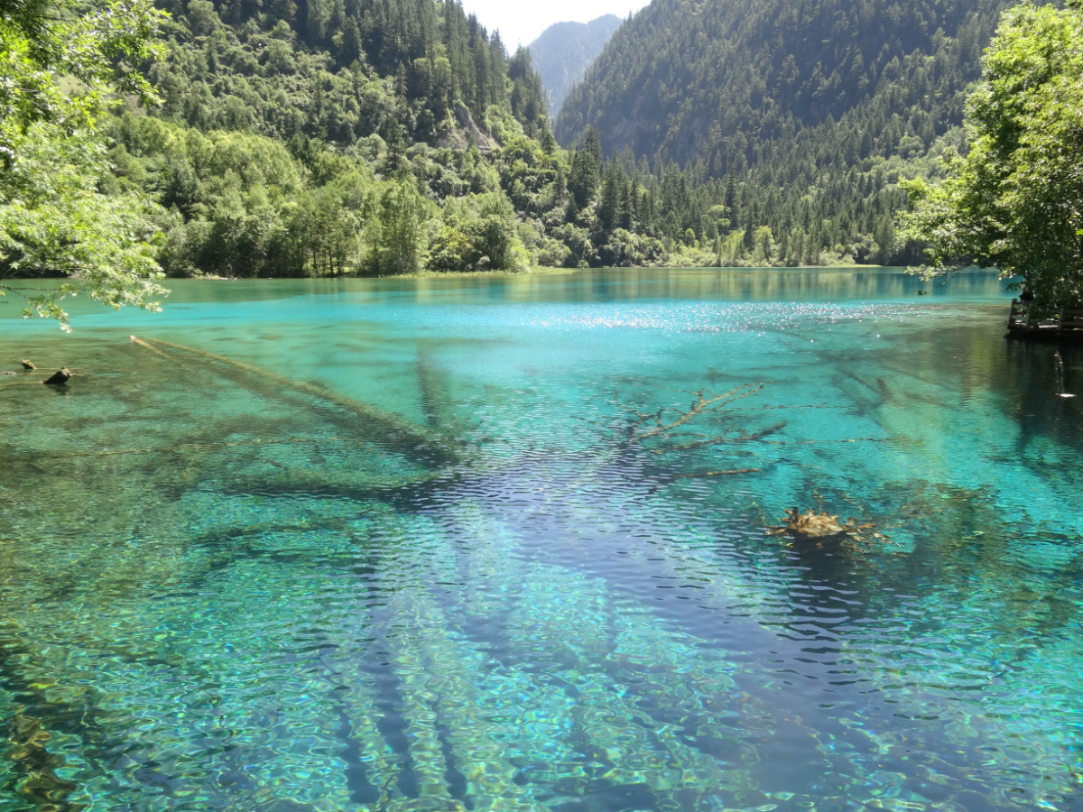 成都、九寨溝、黃龍雙飛5天**4星純玩無自費**