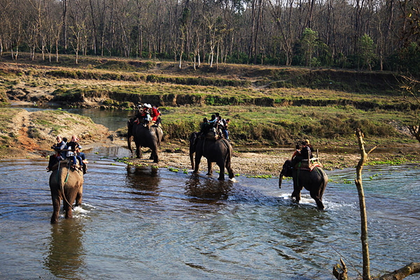 印度、尼泊爾9日