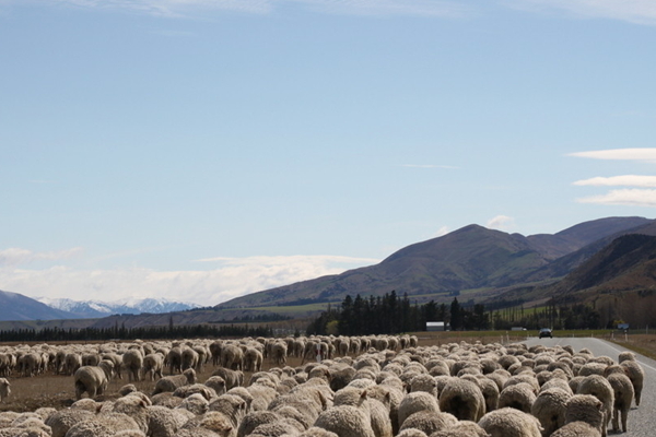 印度、尼泊爾10日