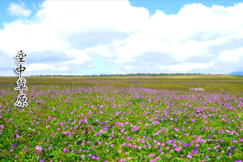 淶源：白石山世界地質(zhì)公園、空中草原、十瀑峽