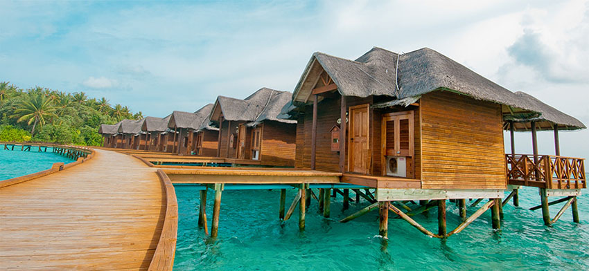 馬爾代夫--菲哈后島 Fihalhohi Island Resort【 四星級(jí)