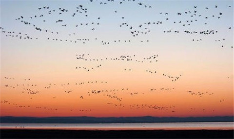 D:內(nèi)蒙古赤峰、達里湖、蒙古風(fēng)情園、阿斯哈圖石