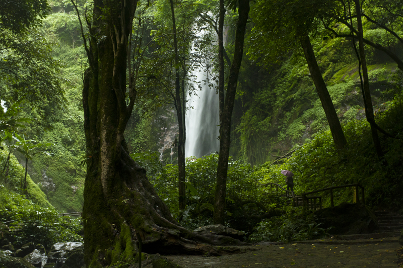 <font color='#0000FF'>芒市、瑞麗、騰沖雙飛5日</font>