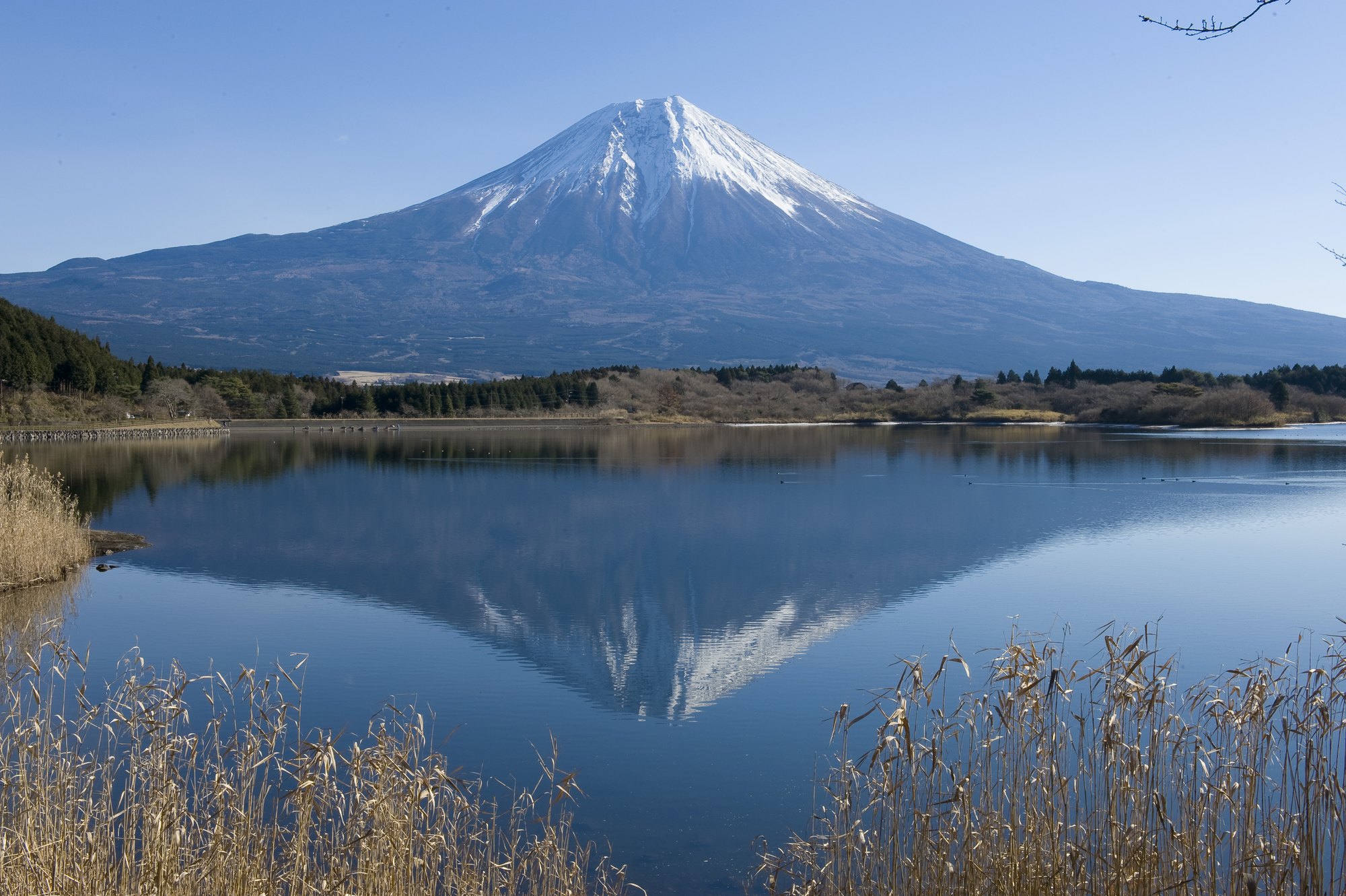 東京、箱根、京都、大阪6日**三大樂(lè)園の3~4星酒