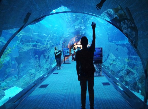 奢華阿聯(lián)酋6天(全程卓美亞酒店集團(tuán)奢華5星酒店