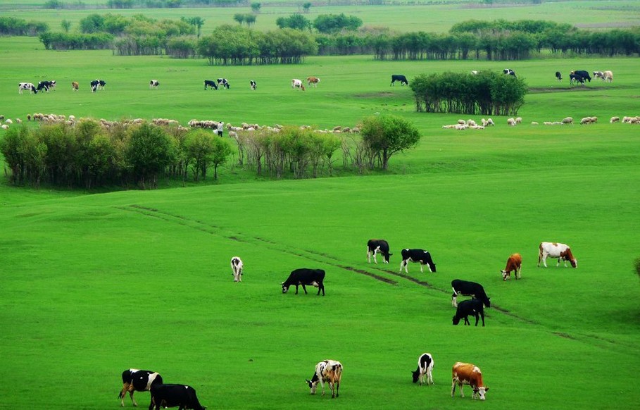 阿爾山、呼倫貝爾、滿洲里雙臥6日