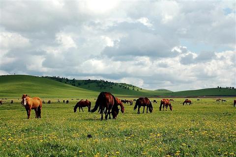 木蘭圍場(chǎng)、內(nèi)蒙古烏蘭布通草原3日