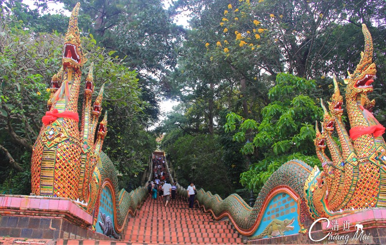 曼谷、普吉島、清邁8晚9日**當(dāng)?shù)?星酒店**