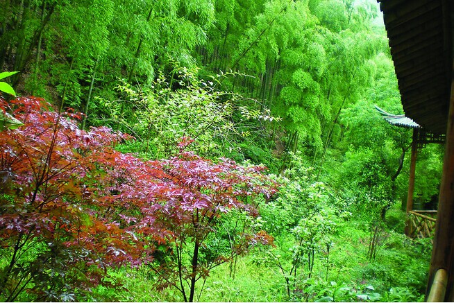 純玩-攝影團(tuán):三星純玩.夜宿翡翠人家 屯溪H9-1：黃