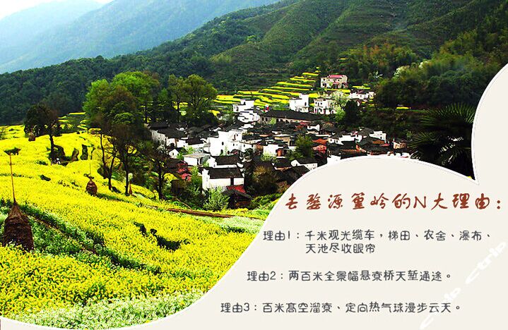 婺源、篁嶺、景德鎮(zhèn)、廬山三疊泉雙臥5日