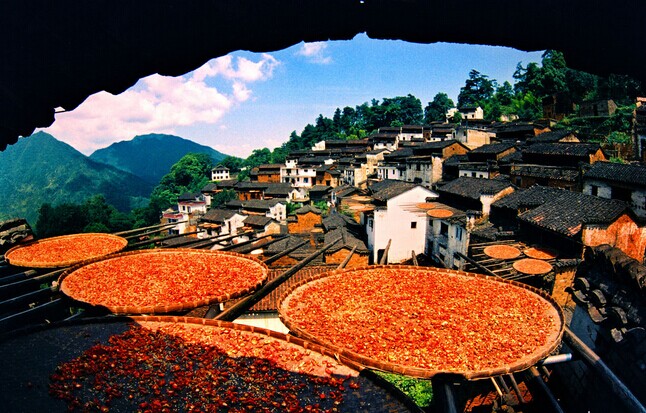 純玩-攝影團(tuán):夜宿翡翠人家 千島湖農(nóng)家酒店H5-2：