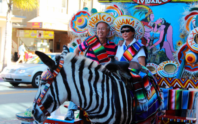 美國東西海岸、大瀑布、墨西哥蒂華納、加拿大