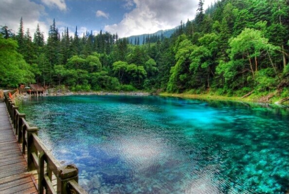 成都、九寨溝、黃龍雙飛5日**純玩**