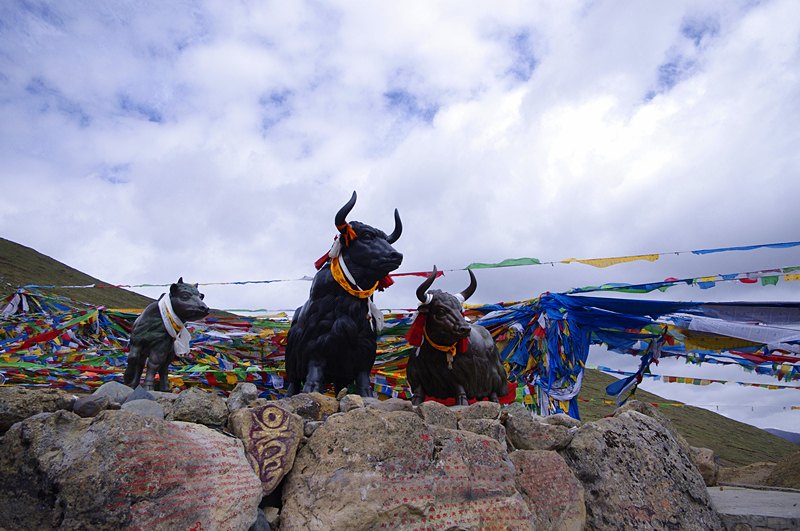 <西藏全景雙臥12日游>0自費(fèi)，轉(zhuǎn)雙湖，林芝2晚，