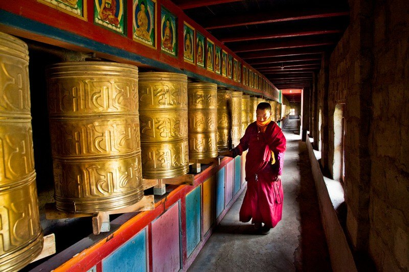 西寧、塔爾寺、青海湖、拉薩、林芝、雅魯藏布