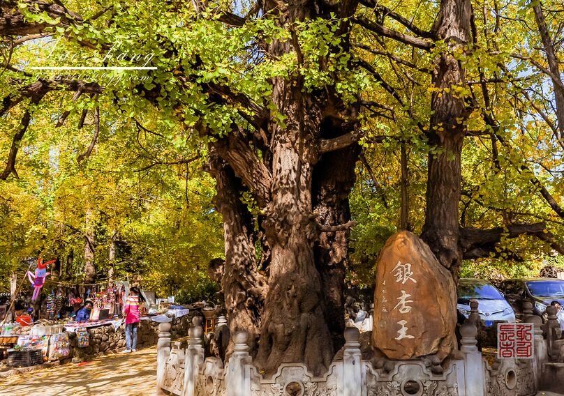保山、騰沖、怒江雙飛5日