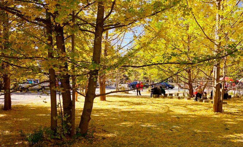 昆明、騰沖、芒市、瑞麗四飛6日